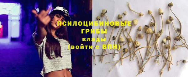 прущие крисы Новодвинск