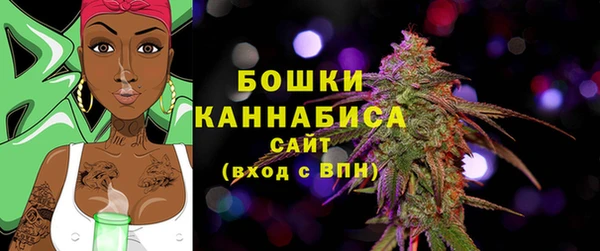 дмт Новокубанск